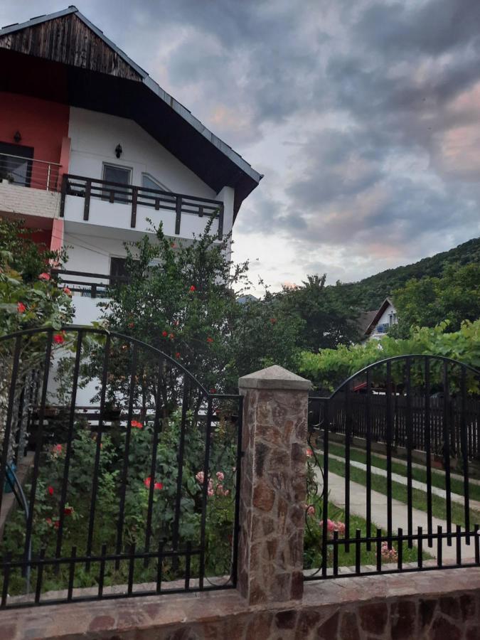 Apartament Casa Lica Caciulata Zewnętrze zdjęcie