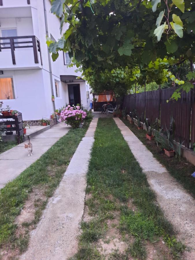 Apartament Casa Lica Caciulata Zewnętrze zdjęcie