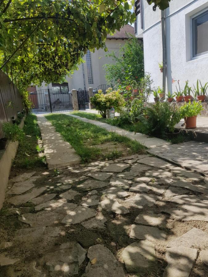 Apartament Casa Lica Caciulata Zewnętrze zdjęcie